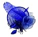 AM CLOTHES Womens Elegant Feather Mesh Flowers Fascinator