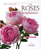 Les roses anglaises