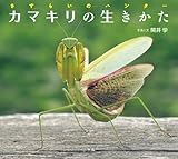 カマキリ