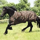 Saxon 600D Turnout Blanket 300g 75In Red w/Brown