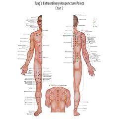 Akupunkturtafel Chart 2 Tung's Extraordinary Acupuncture Points on the regular channels
