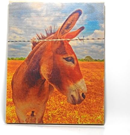 Donkey Daze Photograph Wood Transfer Art-Wood Block Art