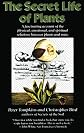 The Secret Life of Plants