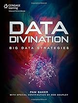 Data Divination: Big Data Strategies