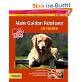 Golden Retriever, zu Hause: Ein bede-Ratgeber zur artgerechten Haltung