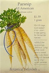 All American Heirloom Parsnip Seeds 100 Seeds