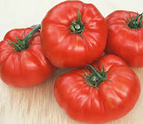 TOMATO, BEEFSTEAK TOMATO SEED, ORGANIC, NON- GMO, 25 SEEDS PER PACKAGE TOMATO, BEEFSTEAK TOMATO SEED, ORGANIC, NON- GMO, 25 SEEDS PER PACKAGE