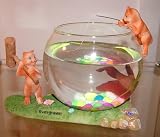 Decorative Fish Betta Glass Bowl - Funny Cats Aquaglobez