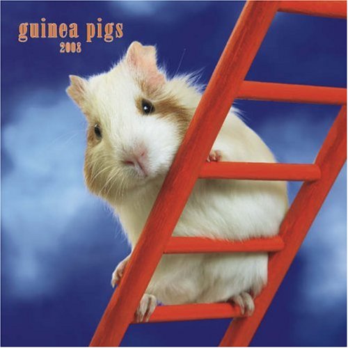 Pigs
