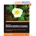 Programming Windows Workflow Foundation: Practical WF Techniques and Examples using XAML and C#: A C# developer's guide to the features and programming interfaces of Windows Workflow Foundation