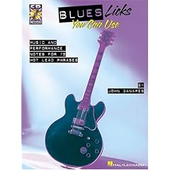 Blues Licks You Can Use: Softcover with CD (Guitar Educational)