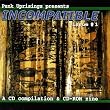 Incompatible #1:A CD compilation and CD-Rom zine Incompatible #1:A CD compilation and CD-Rom zine