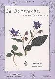 La bourrache : Une �toile au jardin !