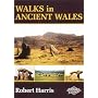 Walks in Ancient Wales