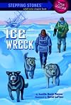 Ice Wreck (A Stepping Stone Book(TM))