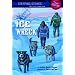 Ice Wreck (A Stepping Stone Book)