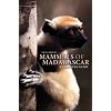 Mammals of Madagascar: A Complete Guide