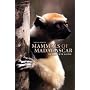 Mammals of Madagascar: A Complete Guide