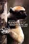Mammals of Madagascar: A Complete Guide