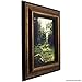 Craig Frames Sonora, Aged Copper and Black Picture Frame, 16 by 20-Inch