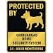 chihuahua38  - PROTECTED BY CHIHUAHUAS HOME SECURITY SYSTEM PARKING SIGN