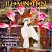 Illumination Image of Illumination
