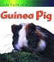 Guinea Pig (Life Cycle of A...)