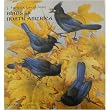Birds of North America: J. Fenwick Lansdowne 2010 Wall Calendar