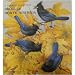 Birds of North America: J. Fenwick Lansdowne 2010 Wall Calendar