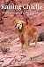 Raising Charlie: The Lessons of a Perfect Dog