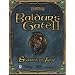 Baldur's Gate 2:  Shadows of Amn
