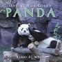 Saving the Giant Panda