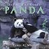 Saving the Giant Panda
