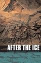 After the Ice: A Global Human History 20,000-5000 BC
