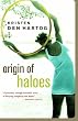 Origin of Haloes