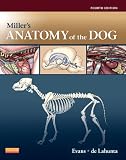 Millers Anatomy of the Dog