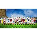 Bierpaket '16 Bierspezialit�ten zur Fu�ball-EM 2012'