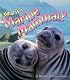 What is a Marine Mammal? (The Science of Living Things)