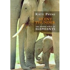 Silent Thunder: Hidden Voice of Elephants