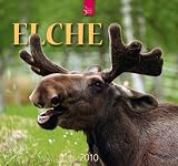Image of Elche 2010