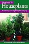 Guide to Houseplants