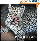 Predator: Life and...