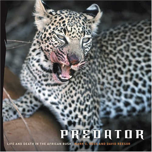 Predator: Life and Death in the African Bush