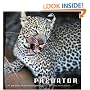 Predator: Life and Death in the African Bush