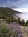 Mount Teide (Pico De Teide), Tenerife, Canary Islands, Spain Photographic Poster Print by Sergio Pitamitz, 24x32