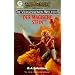 Die vergessenen Welten, Bd. 5: Der magische Stein