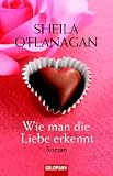 Wie man die Liebe erkennt: Roman