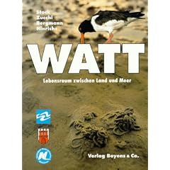 Watt. Lebensraum zwischen Land und Meer