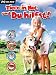 Tiere in Not - und Du hilfst! (PC)