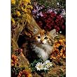Kitten In Autumn Jigsaw Puzzle 500pc